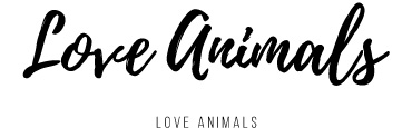 LOVE ANIMALS
