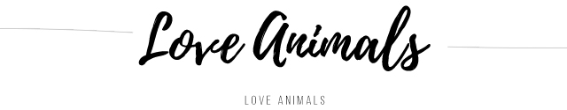 LOVE ANIMALS